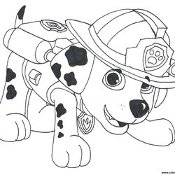 Paw Patrol Marshall Draw Coloring Pages Printable Color