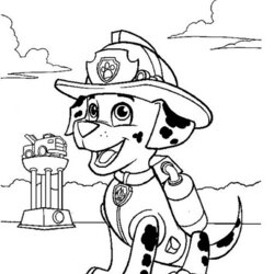 Matchless Marshall Head Coloring Page Free Printable Pages For Kids Paw Patrol