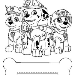 Capital Marshall Paw Patrol Coloring Page Free Printable Pages