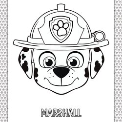 Sterling Paw Patrol Cartoon Marshall Head Coloring Page