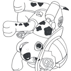 Peerless Marshall Paw Patrol Coloring Pages Photo Free Transparent Logos