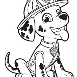 Preeminent Marshall Paw Patrol Coloring Pages Printable Collection Colouring