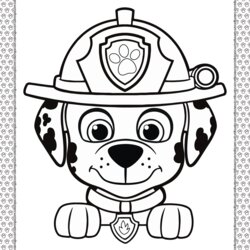 Supreme Printable Paw Patrol Marshall Head Coloring Page Skye