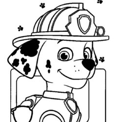 Marvelous Marshall Paw Patrol Printable Word Searches Cute Coloring Page