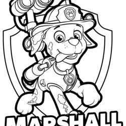 Very Good Paw Patrol Marshall Drawing At Free Download Coloring Pages