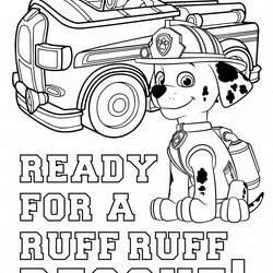 Perfect Marshall Paw Patrol Coloring Page Pages Everest Fit
