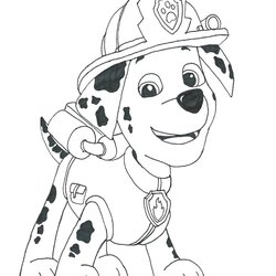 Great Paw Patrol Marshall Draw Coloring Pages Printable Drawing Sheets Colouring Sky Print Birthday Color