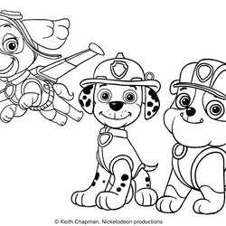 Super Marshall Paw Patrol Drawing At Free Download Coloring Pages Skye Print Halloween Kids Printable
