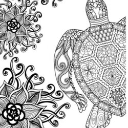Free Adult Colouring Pages The Housewife Coloring Turtle Fun Printable Creative Teenagers Animal Adults Print