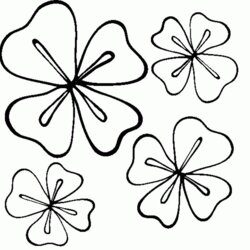 Peerless Four Leaf Clover Coloring Pages Best For Kids Library Clip Popular Page