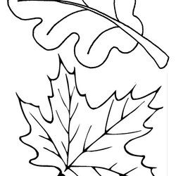 Marvelous Free Printable Leaf Coloring Pages For Kids Four Clover