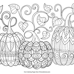 Matchless Free Autumn And Fall Coloring Pages You Can Print Pumpkins Three Ages Witch