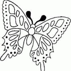 Free Printable Butterfly Coloring Pages For Kids Butterflies Colouring Online