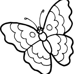 Sublime Free Printable Butterfly Coloring Pages For Kids Color Butterflies Colouring Sheets Print Flowers