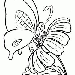 Magnificent Get This Butterfly Coloring Pages Printable Flower Kids Cartoon Drawing Butterflies Color Sheets