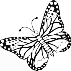 Super Butterfly Coloring Pages Color Print Cl