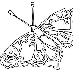 Butterfly My Coloring Land Pages Blank Object Drawing Butterflies Sheets Flowers Kids Color Coloured