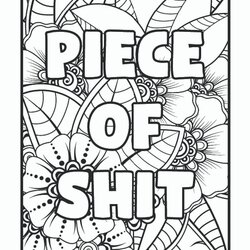 Terrific Adult Curse Word Printable Coloring Pages Digital Download