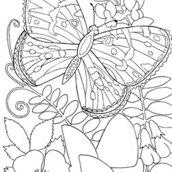 Free Printable Spring Coloring Pages For Adults Download Colouring Inappropriate Seniors Advanced
