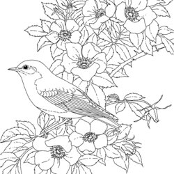 The Highest Standard Adult Coloring Pages Flowers To Download And Print For Free Color