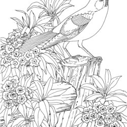 Matchless Adult Coloring Pages Flowers To Download And Print For Free