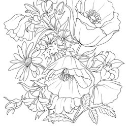 Smashing Pin On Art Inspiration Coloring Pages Adult Printable Flowers Flower Adults Drawing Beautiful
