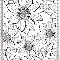 Splendid Flower Coloring Pages For Adults