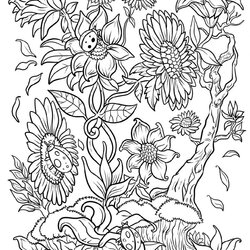 Brilliant Flowers Archives Coloring Flower For Adult