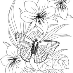 Swell Flower Coloring Pages For Adults Best Kids Printable Page