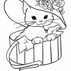 Superior Cute Cat Coloring Pages Home