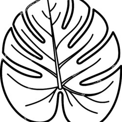 Fine Tropical Leaves Coloring Pages Leaf