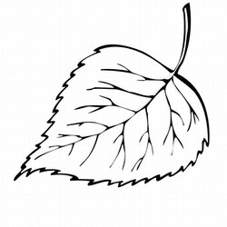The Highest Standard Free Printable Leaf Coloring Pages For Kids Fall Page