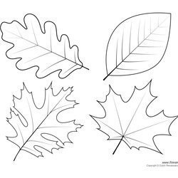 Leaf Templates Coloring Pages For Kids Leaves Print Template Printable Stencils Tree Patterns Drawing Fall