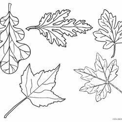 Free Printable Leaf Coloring Pages For Kids Fall