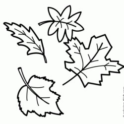 Worthy Printable Leaves Coloring Pages Home