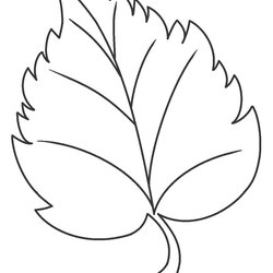 Superlative Free Printable Leaf Coloring Pages For Kids Page