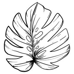 Supreme Best Leaf Tracers Printable For Free At Coloring Pages