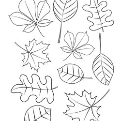 Superior Autumn Leaves Coloring Page Preschool Grade For Children Free Palm Mandala
