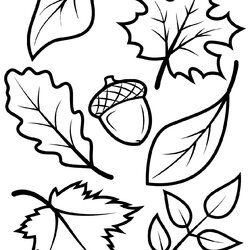 Terrific Fall Coloring Pages For Kids And Adults Activity Leaves Printable Leaf Sheets Template Autumn Print