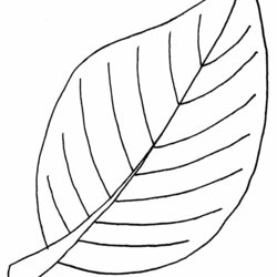 Smashing Free Coloring Pages Of Leaves Without Colour Leaf Printable Kids Page