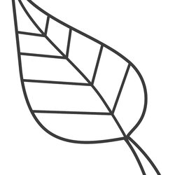 Coloring Pages Of Leaves Free Printable Word Searches Leaf