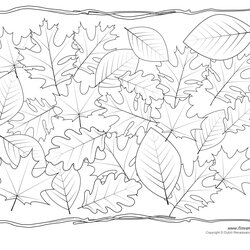Marvelous Leaf Templates Coloring Pages For Kids Magnolia Collected Depicts Page