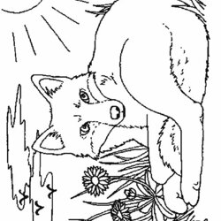 Fine Kids Fun Coloring Pages Of Foxes Width
