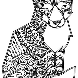 Matchless Fox Foxes Adult Coloring Pages Simple Beautiful Animals Nature