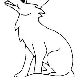 Splendid Fox Coloring Pages Animals Para