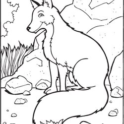 Free Printable Fox Coloring Pages For Kids Of