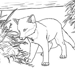 Capital Free Printable Fox Coloring Pages For Kids
