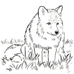 Supreme Fox Coloring Page Art Starts Pages Printable Kids Print Drawings Reference