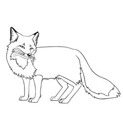Spiffing Free Printable Fox Coloring Pages For Kids
