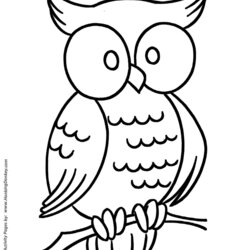 Sterling Coloring Pages Free Printable Wise Owl Page Print Sheets Kids Sheet Fun Shapes Colouring Book